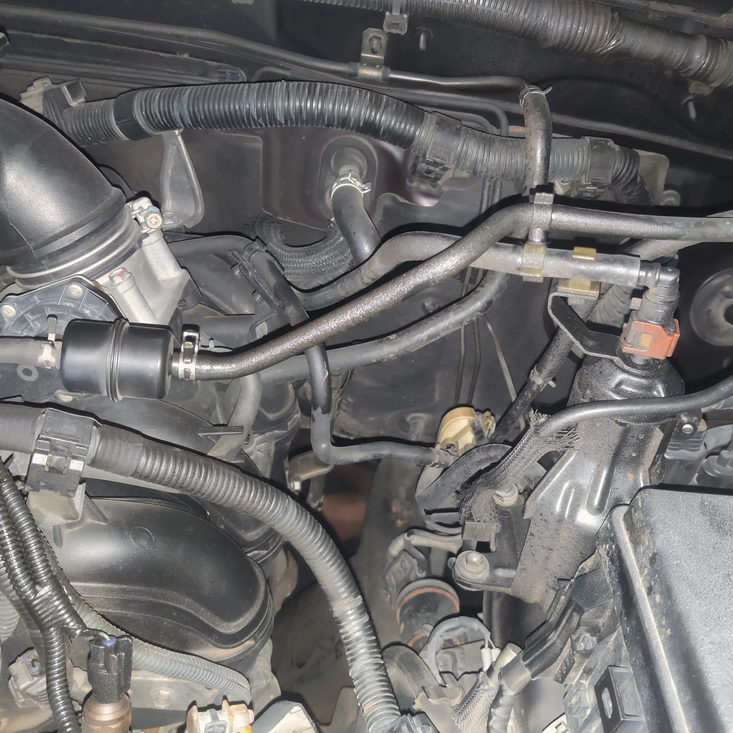 Maintenance Check