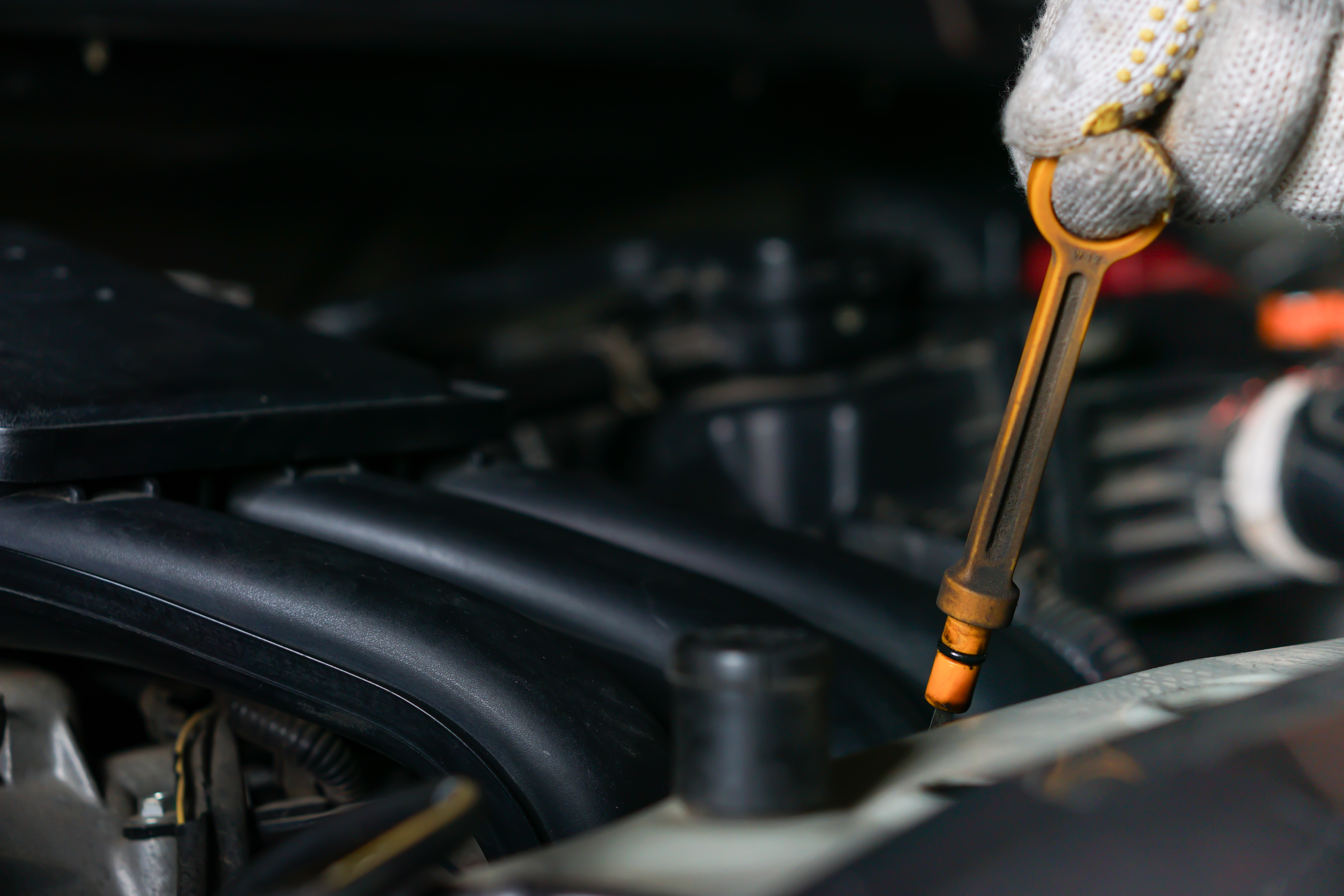 Professional Oil Level Check